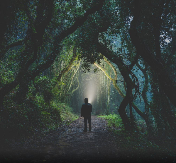 ������ � �������������