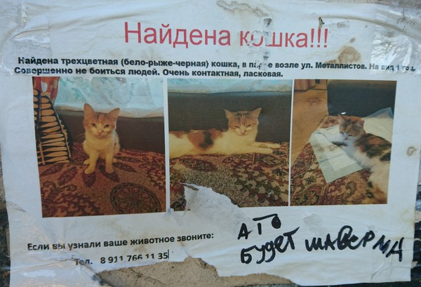   ! !)