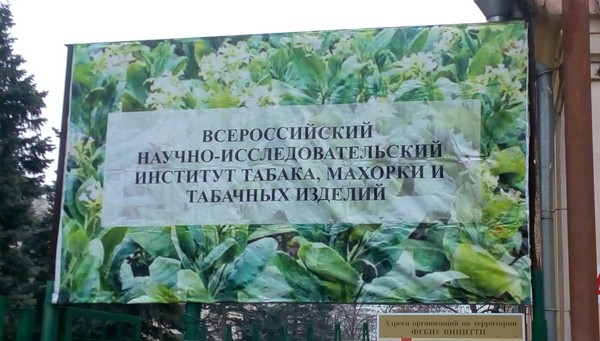 The institution we all deserve. - Nii, The photo, Krasnodar, Краснодарский Край, Tobacco, Makhorka