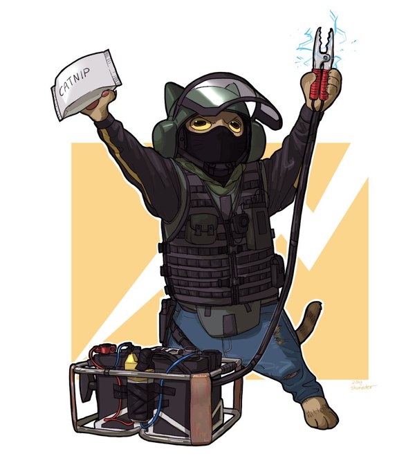 Cats from Tom Clancy's Rainbow Six Siege:3 - Tom clancy's rainbow six siege, cat, Longpost