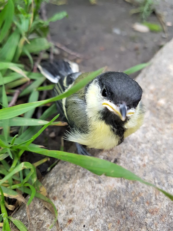 �������� ��� ������ �������� � ����)