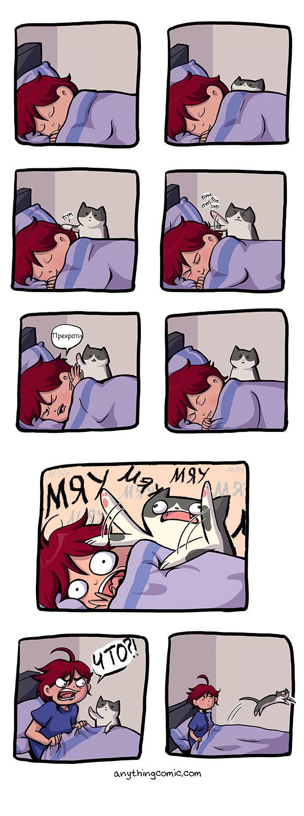 Morning alarm... - Anythingcomic, Comics, cat, Alarm, Longpost