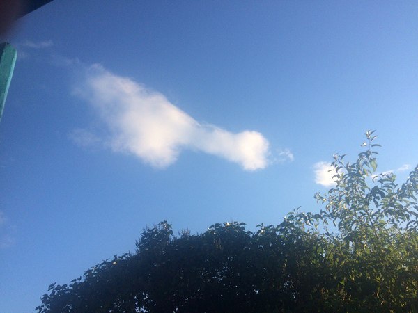 ��� ��������� �� �����, � ����� �� �������. ������ � �������� ����� �����