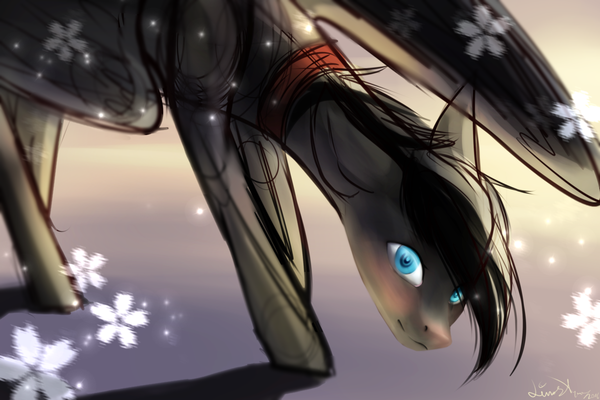    ? ? My Little Pony, Original Character, Ponyart