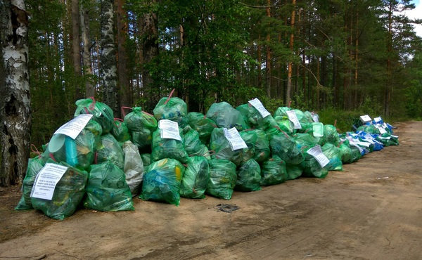 Waste management and separate collection - My, Forest, Cleaning, Clean forest, Ecology, Longpost, Chistoman, Dump, Separate garbage collection