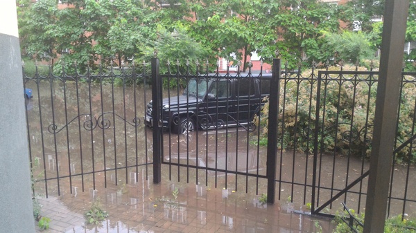 Bathing season - My, Voronezh, Flood, Water procedures