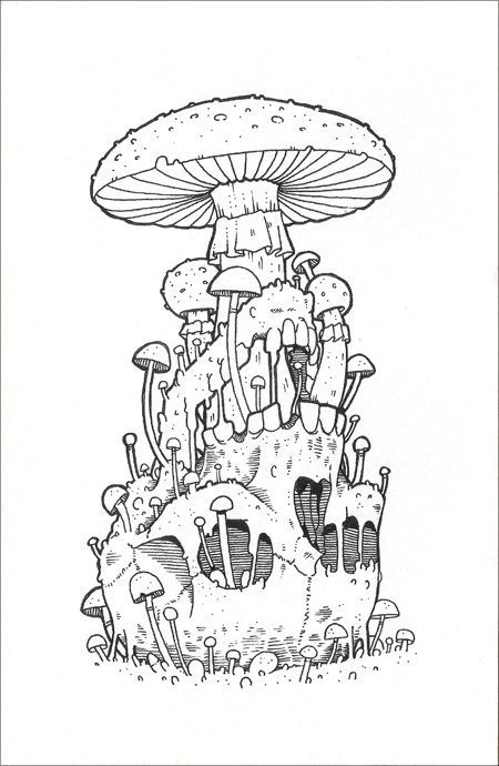 Any mushroom (sketches from around the world) - Tattoo Lovers League, Sketch, Mushrooms, Longpost, Tattoo