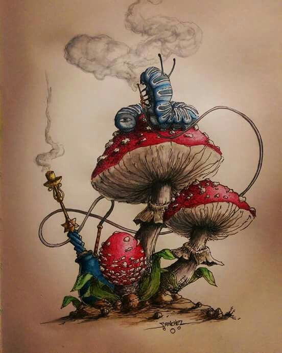 Any mushroom (sketches from around the world) - Tattoo Lovers League, Sketch, Mushrooms, Longpost, Tattoo