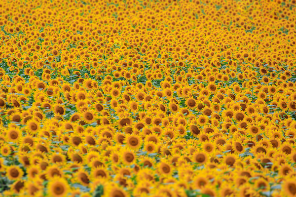 Кавказ Моё, Фотограф, Виталий орлинский, Кавказ, Природа, Горы, Красота, Длиннопост