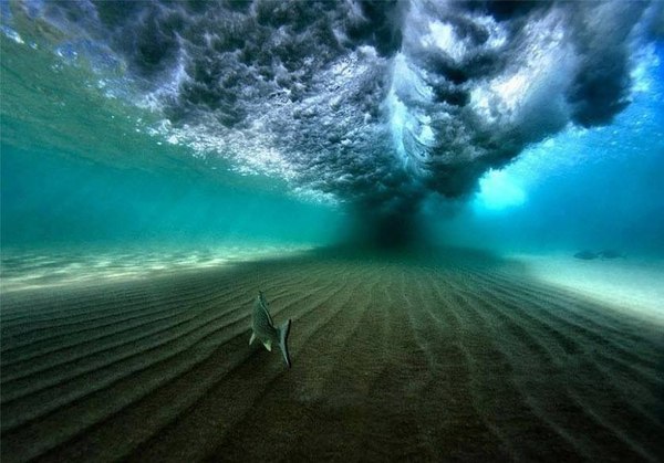 Great view under the wave - Wave, Wave