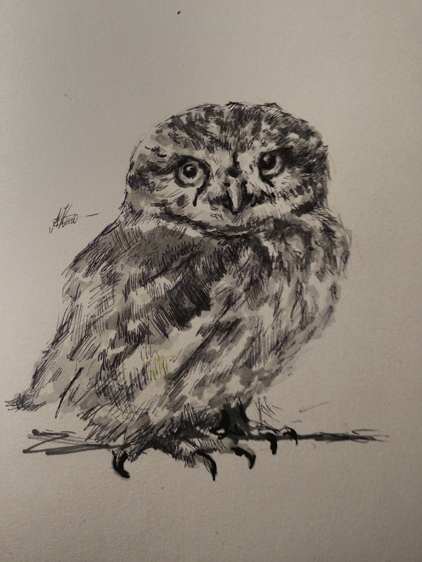 �������,  ��� ����.