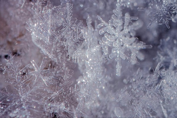 macro snow - My, Nikon, Macro, Snow, The photo, Macro photography