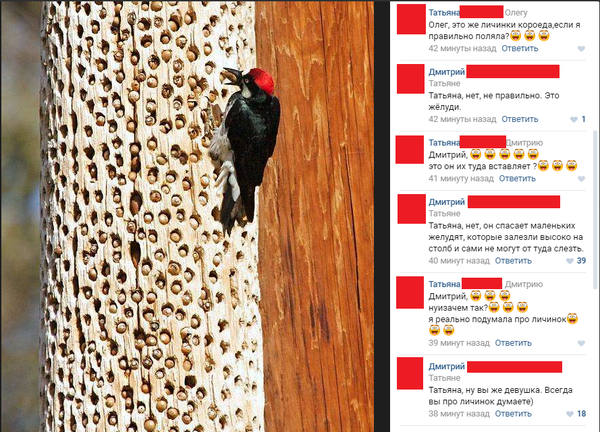 �� �� ������� :)