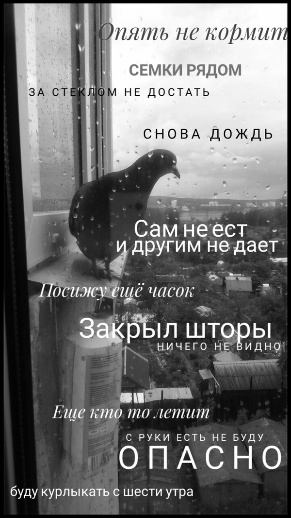 �� ��� �����