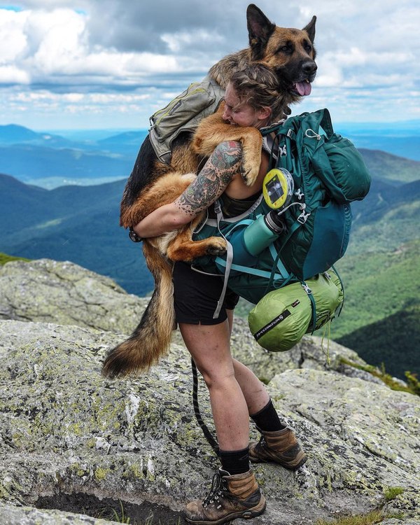 When you are very tired. - German Shepherd, Dog, The photo, The mountains