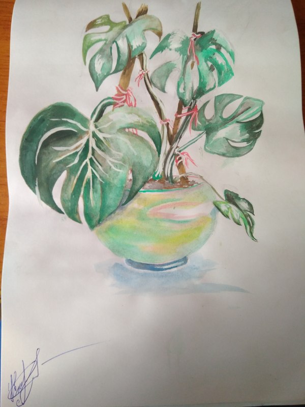 My sister drew a plant. Wants criticism, advice. My sister is the tag mine. - My, Drawing, Watercolor, Plants