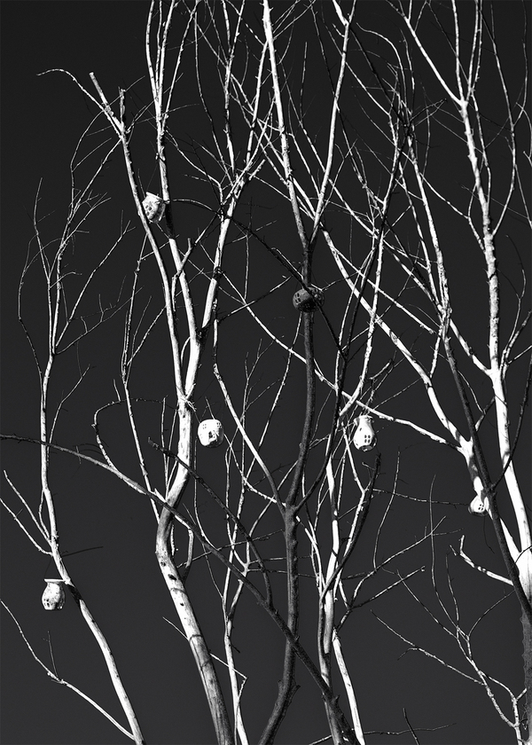 Немного ч/б на ночь глядя. Моё, Фотограф, Виталий орлинский, Черно-белое, Путешествия, Киев, Украина, Испания, Длиннопост