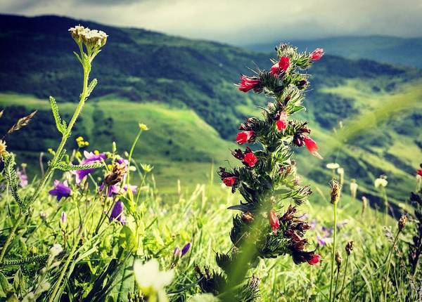North Ossetia. - My, The mountains, Nature, The photo, North Ossetia Alania, Longpost