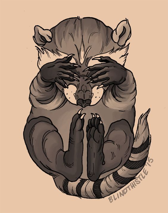 Sketches of tattoos: raccoons! - Tattoo, Tattoo Lovers League, Longpost, Sketch, Raccoon