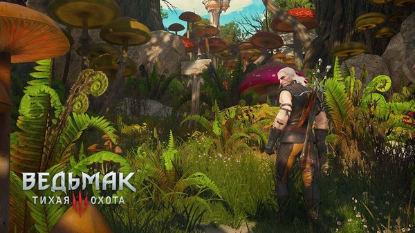 Mushroom picker Geralt - Mushrooms, The Witcher 3: Wild Hunt, Silent hunt, Geralt of Rivia