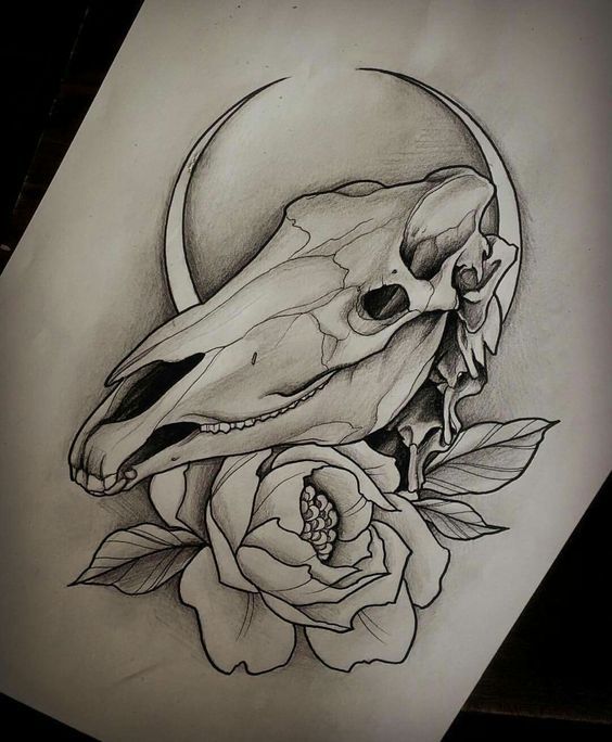 Sketches of tattoos: horse. - Tattoo, Longpost, Horses, Sketch, Tattoo Lovers League