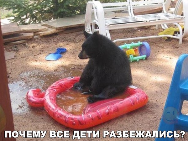 Where are the children? - The Bears, Russian Bear, 