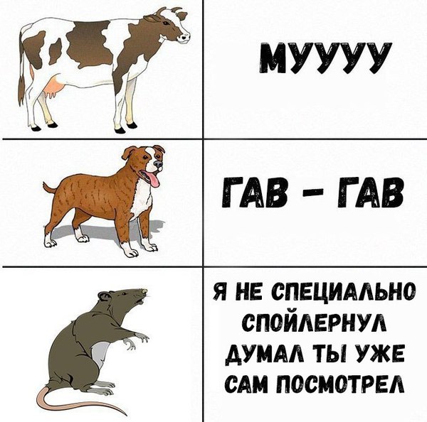 ����� ����� ������ ��������