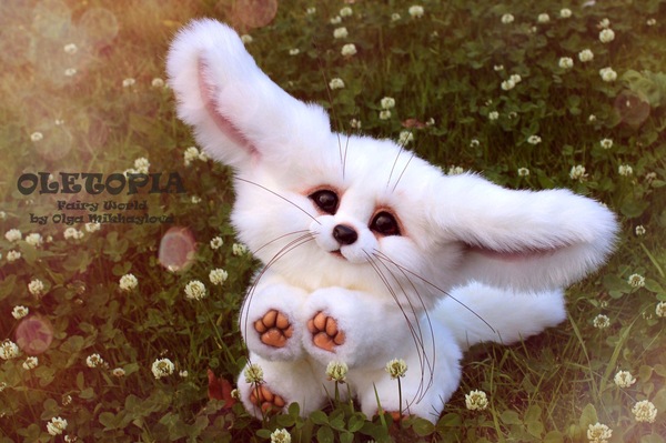 Smiling fennec) - My, Fenech, Artificial fur, Creation, Needlework, I create, With your own hands, , Needlework without process