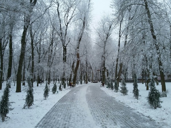 Winter fairy tale. - My, Winter, Snow, The park, Beautiful view, Nature, Longpost