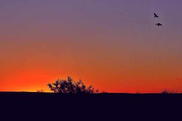 Seeking in the wee hours - My, Derzhavinsk, Ishim, , , Beginning photographer, Longpost