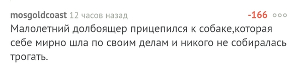 Гордость. - Моё, Гордость, Герои, Храбрость, Длиннопост, Текст, Смелость