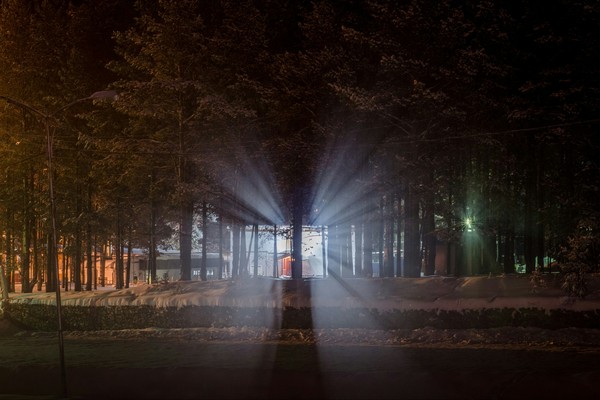 �����������