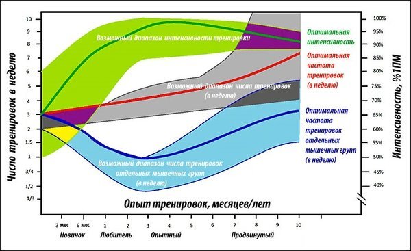 Пост для милых дам: почему не растет ягодичная? - Моё, Ягодицы, Попа, Спортзал, Между нами девочками, Гифка, Длиннопост