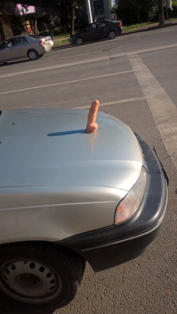 When as a child you wanted a unicorn, but something went wrong - NSFW, My, Dildo, Car