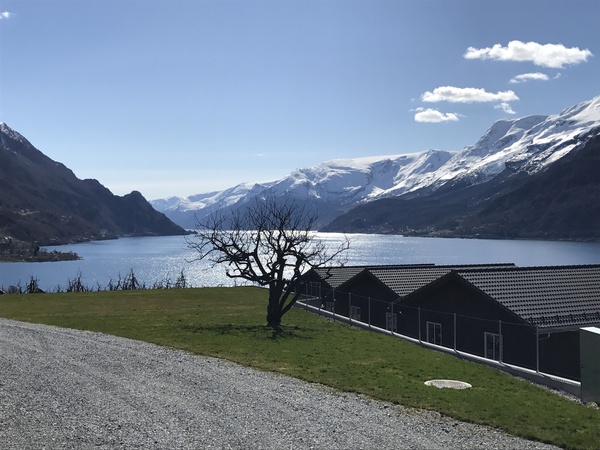 A trip to Norway - Joy and disappointment. - My, Norway, Relaxation, Travels, Longpost, Fjords, 