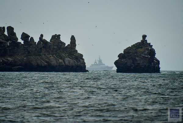 Corvette Perfect goes to Vladivostok. - The photo, Vladivostok, Ship, Sea