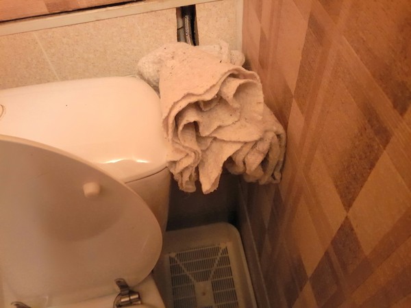 The rag in the toilet folded into the shape of a face - My, Rag, Anthropomorphism, Face, , Origami, It itself, It seemed