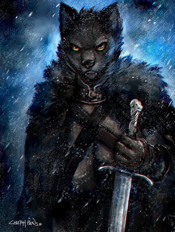 King of the north - Furry, Anthro, Art, Game of Thrones, Cheetahpaws
