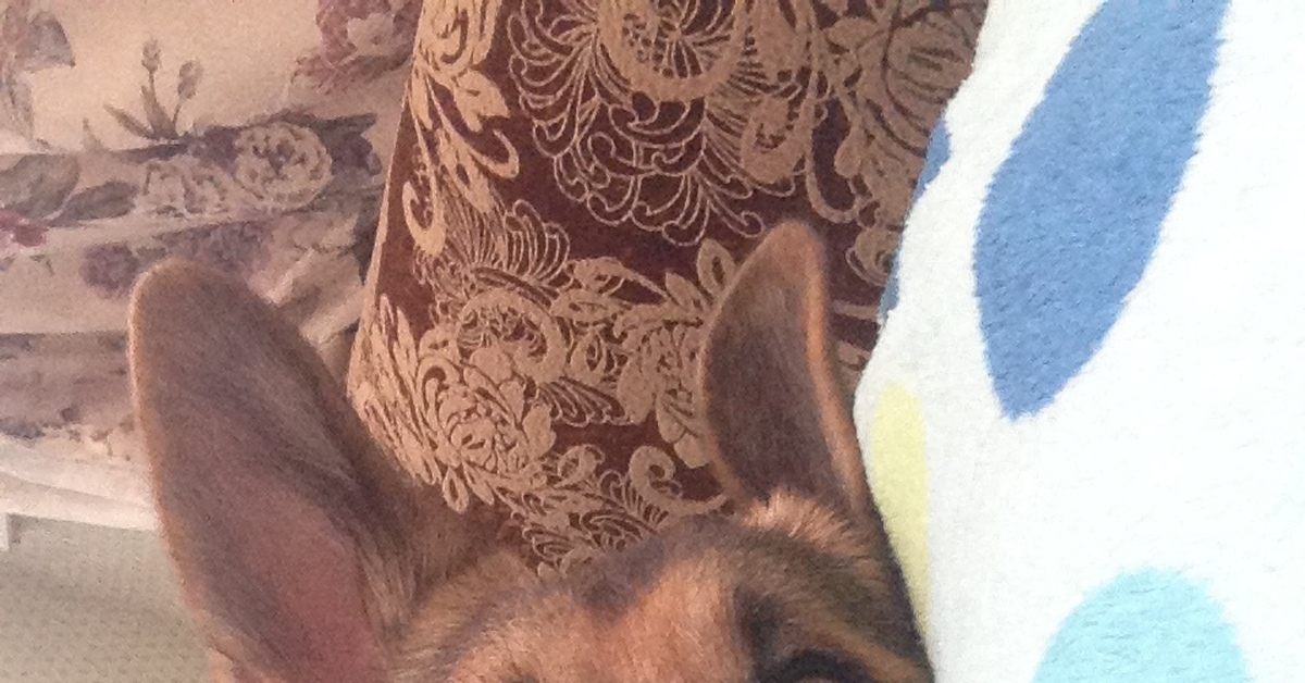 Сигнал потерян) | Пикабу