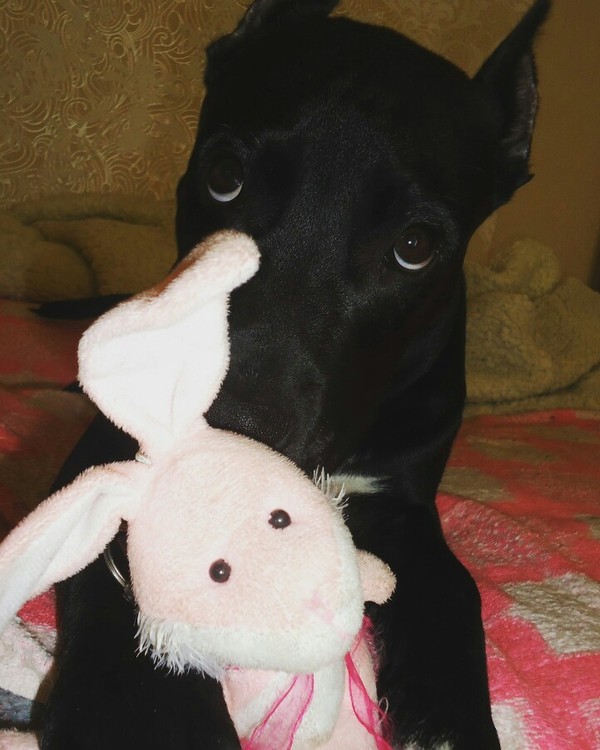 "Мам, это Лёха, он будет жить с нами"