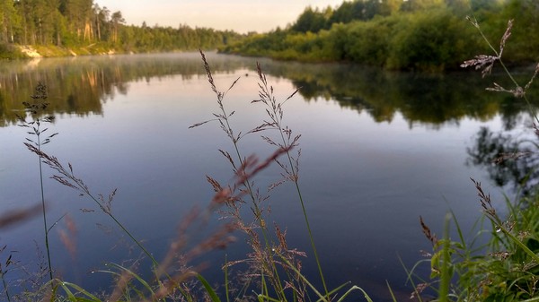 Not much nature on the river Kerzhenets - My, Kerzhenets, Summer, Sunset, River