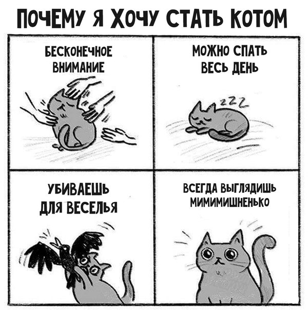 Причины стать котом - Мемы, Комиксы, Кот