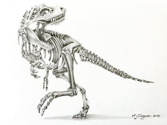 Sketch Collection: Dinosaurs - Tattoo, Longpost, Tattoo Lovers League, Sketch, Dinosaurs, Not mine