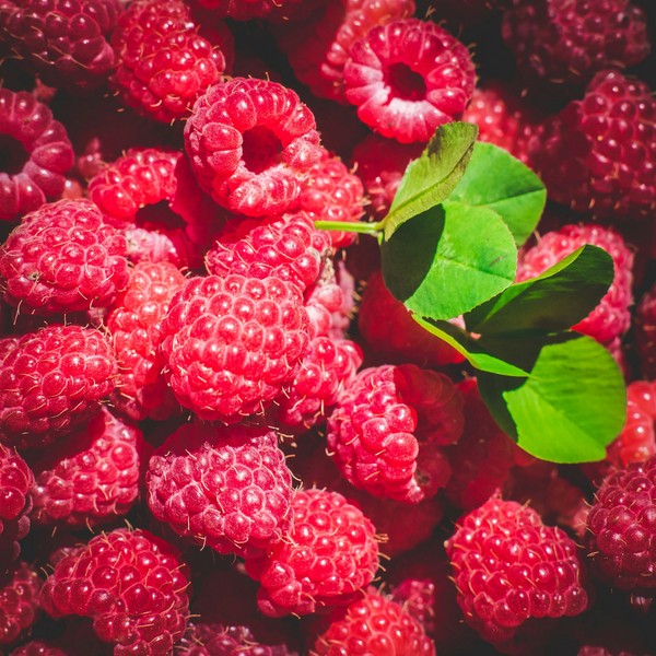 raspberry time - My, Raspberries, Berries, The photo