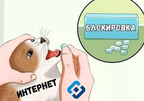 Roskomnadzor - Memes, Roskomnadzor, cat