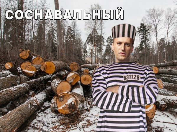 Somewhere in the Kirov forests - Alexey Navalny, Politics, Humor, Forest, Nature, Gulag, Opposition