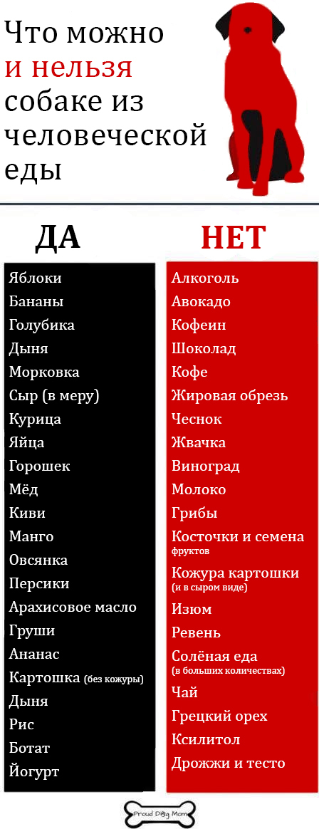 Список невозможного. Что можно и нельзя давать собакам. Что можно есть собакам а что нельзя. Что можно есть собакам список. Какие продукты можно собакам.