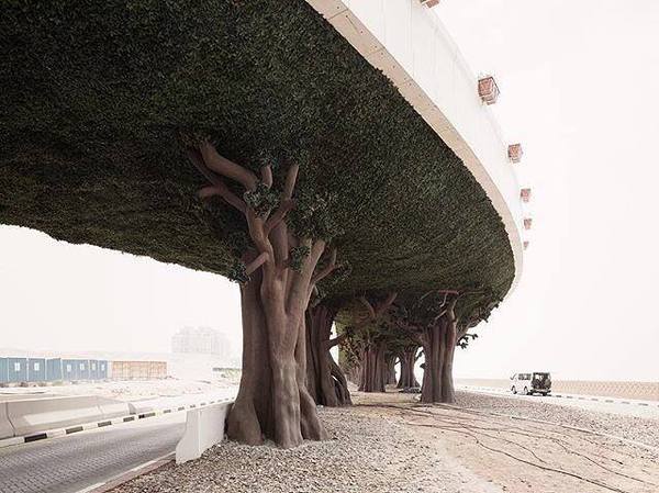 Dubai - Tree, Bridge