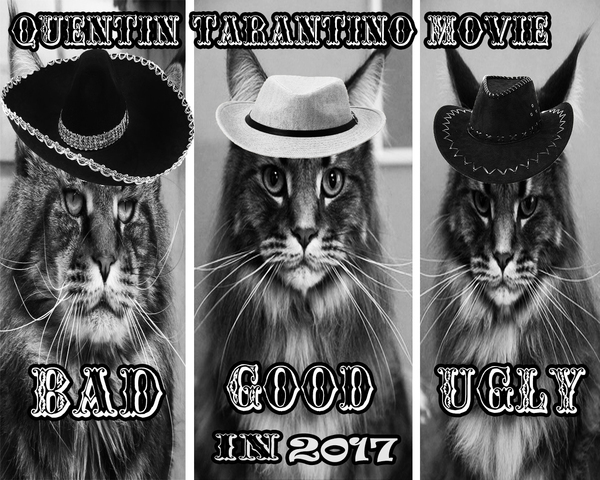 Good bad evil... - My, Tarantino approves, Fotozhaba, Maine Coon, Ron Perlman, Catomafia, cat