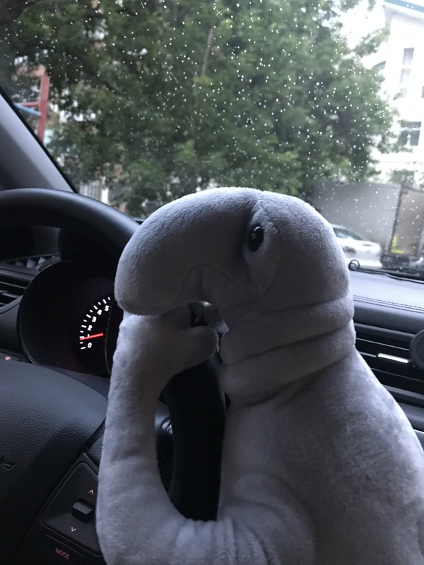       , , , ,  